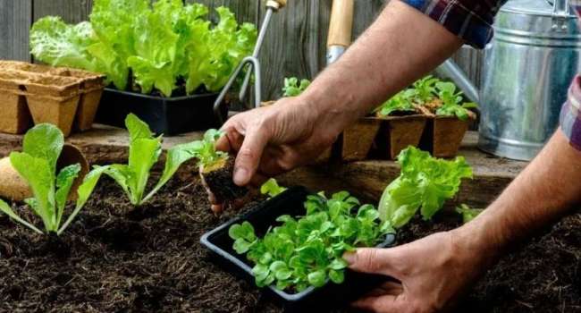  �������� ���������� ���������� ������� ������� ���� 