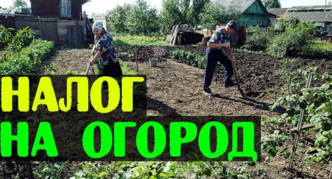 «Слуги» добрались до самого ценного: умиляет введение налогов на огороды и жилье «Слуги» добрались до самого ценного: умиляет введение налогов на огороды и жилье
