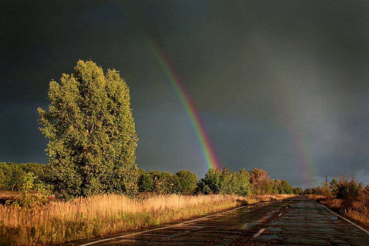 Жителям востока и юга придётся потерпеть: синоптик рассказала о похолодании в Украине