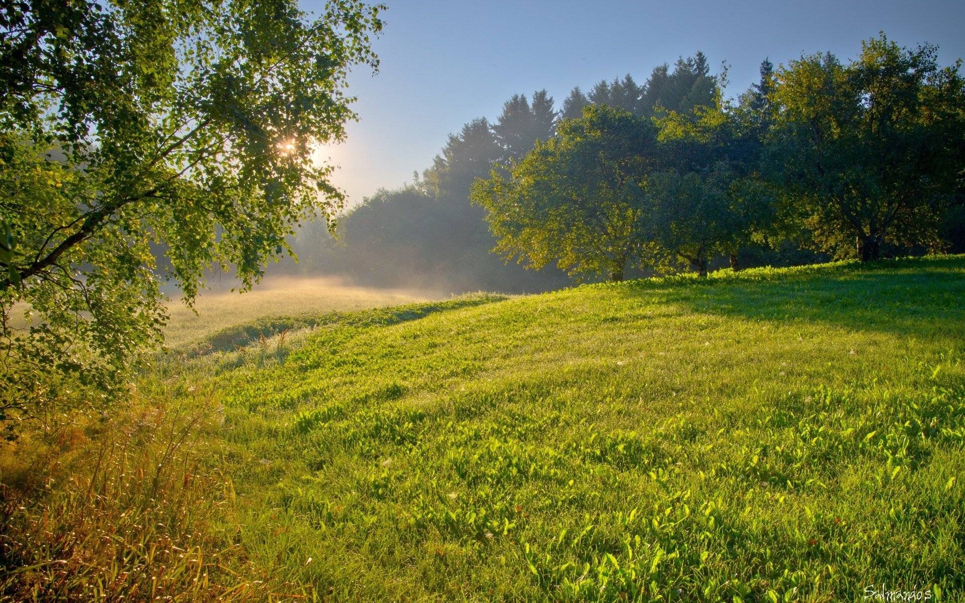 «Вот такие отличные новости»: Диденко рассказала о погоде 23 июля
