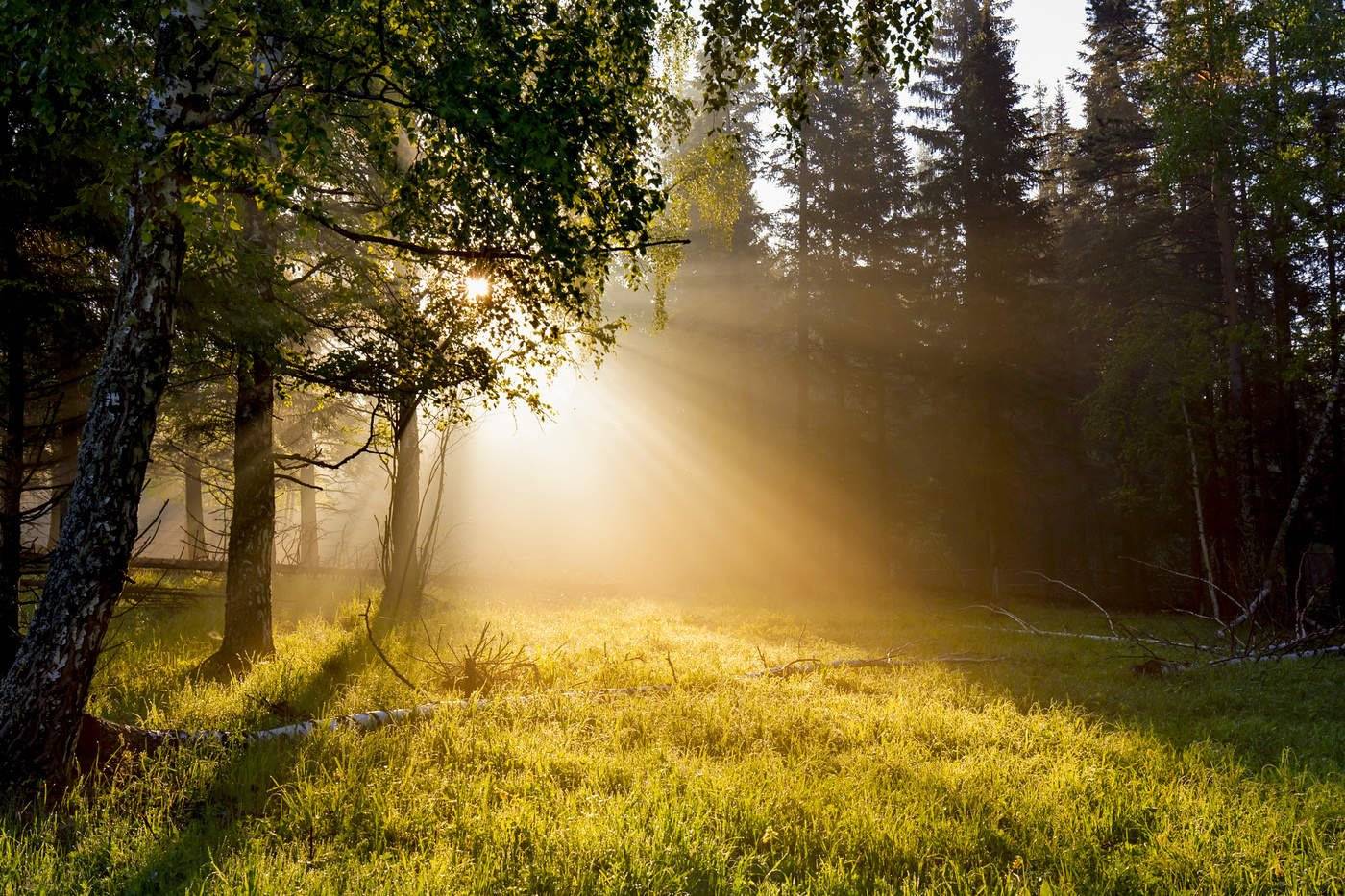 «Пора снова готовиться к жаре»: метеоролог рассказала о погоде в конце июля и в августе