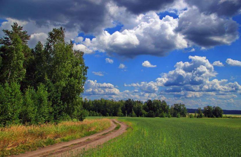 «На востоке жара вообще не уйдёт»: синоптик рассказала о похолодании в Украине