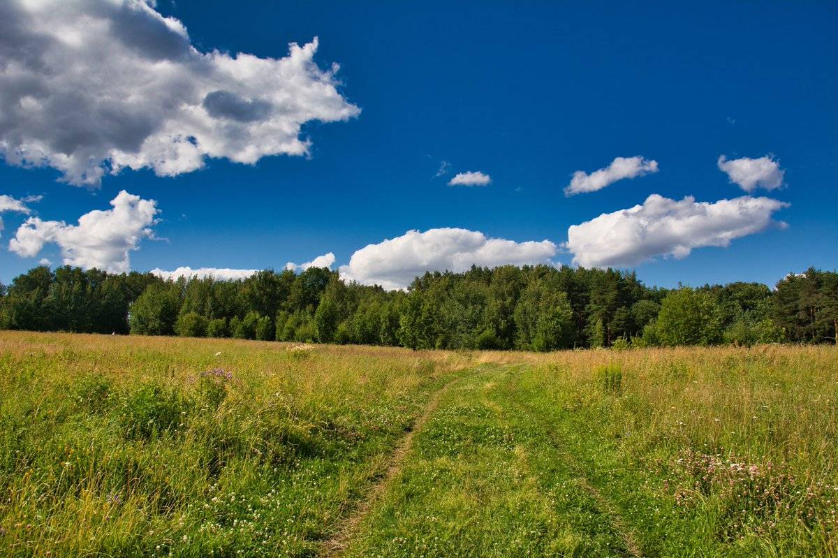 Украина остается самой жаркой страной Европы: синоптики предупредили о запредельных 35° жары в четверг
