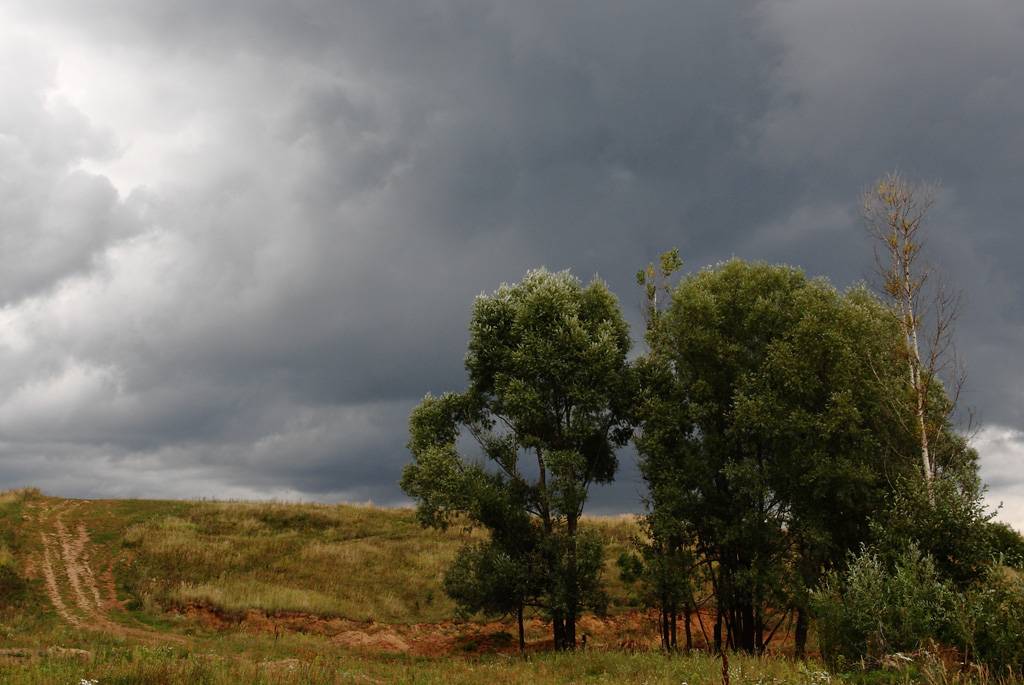 Изменения уже начались: синоптик рассказала о приходе холодного воздуха в Украину