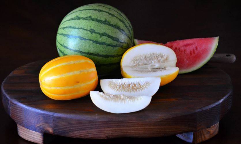 Специалист объяснила, чем отличаются диеты на дынях и арбузах