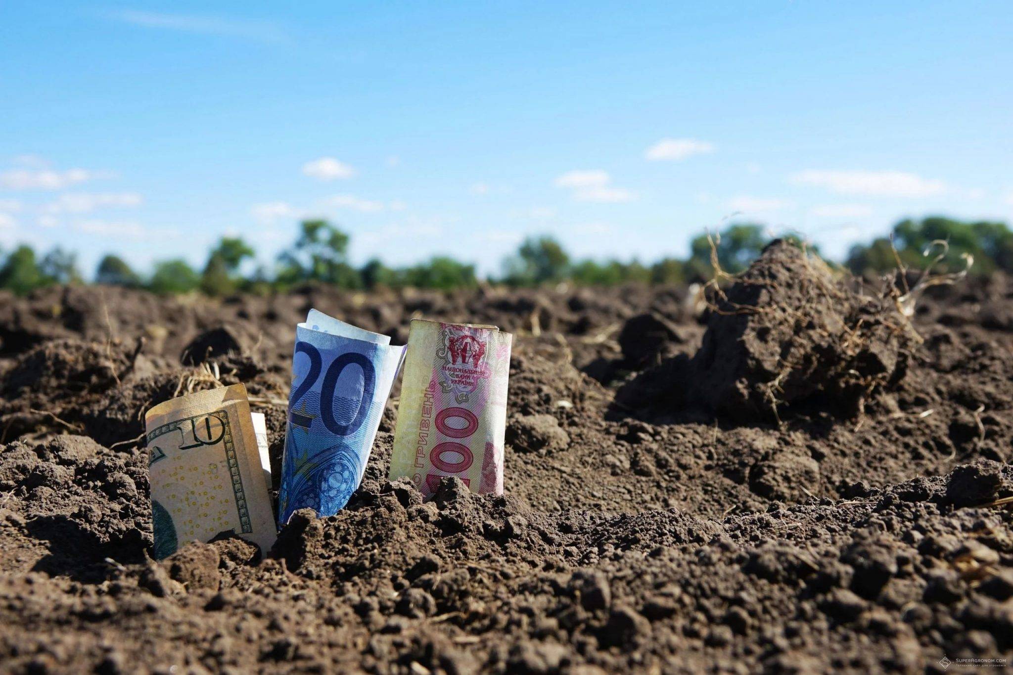 Специалист: «На стоимость украинской земли повлияет её состояние»