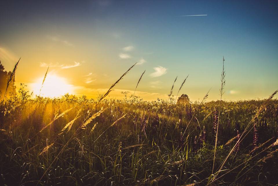 Синоптики: похолодание в Украине начнётся с западных регионов