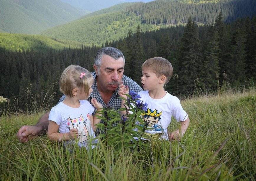 «Есть такое понятие – прикорм»: Комаровский рассказал об аллергии у маленьких детей