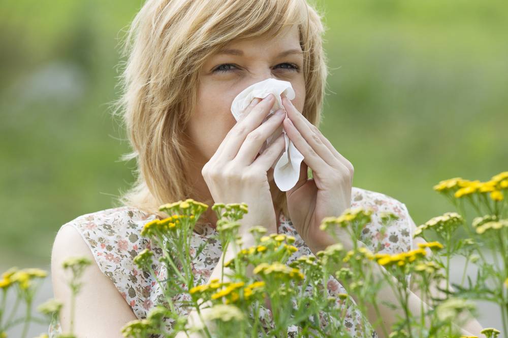 «Прогулка перед сном и душ»: Комаровский объяснил, как помочь при аллергии на пыльцу