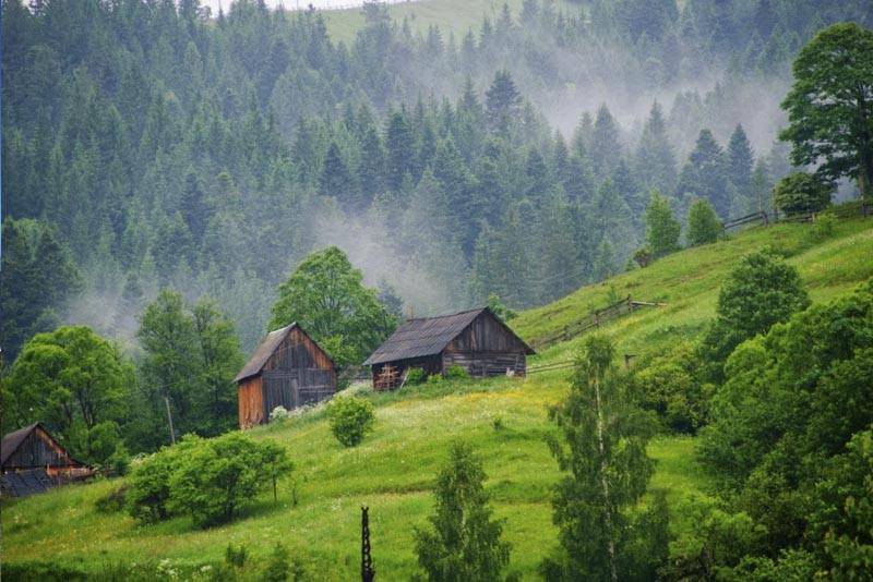 «Начинаем жить в долг»: Украина израсходовала все природные ресурсы на этот год