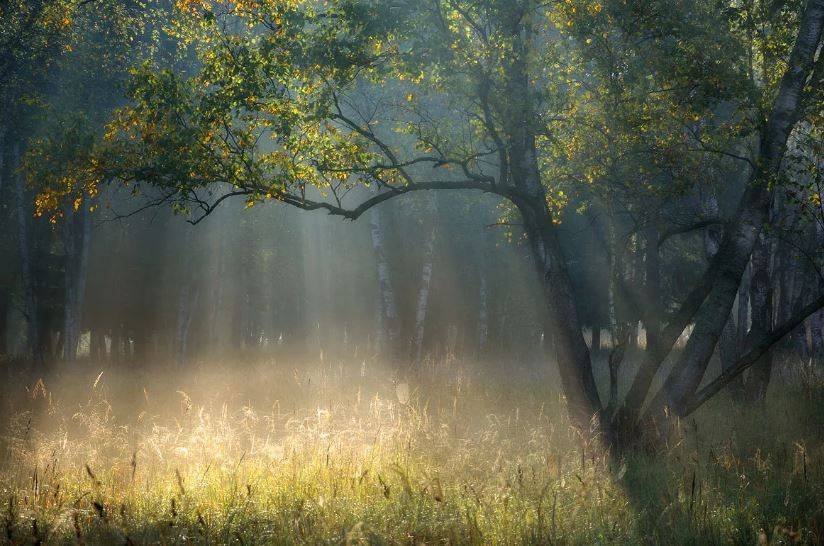 Очень много дождей и похолодание: синоптик рассказал о погоде до конца августа