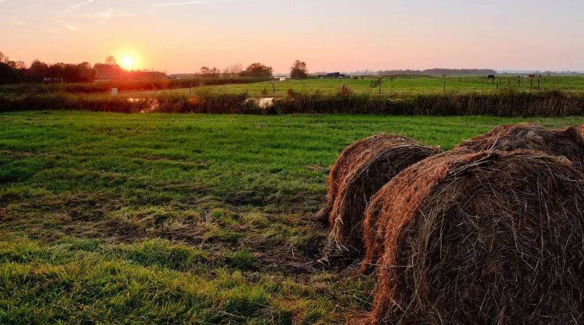 Самая идеальная погода: синоптики рассказали об условиях в выходные