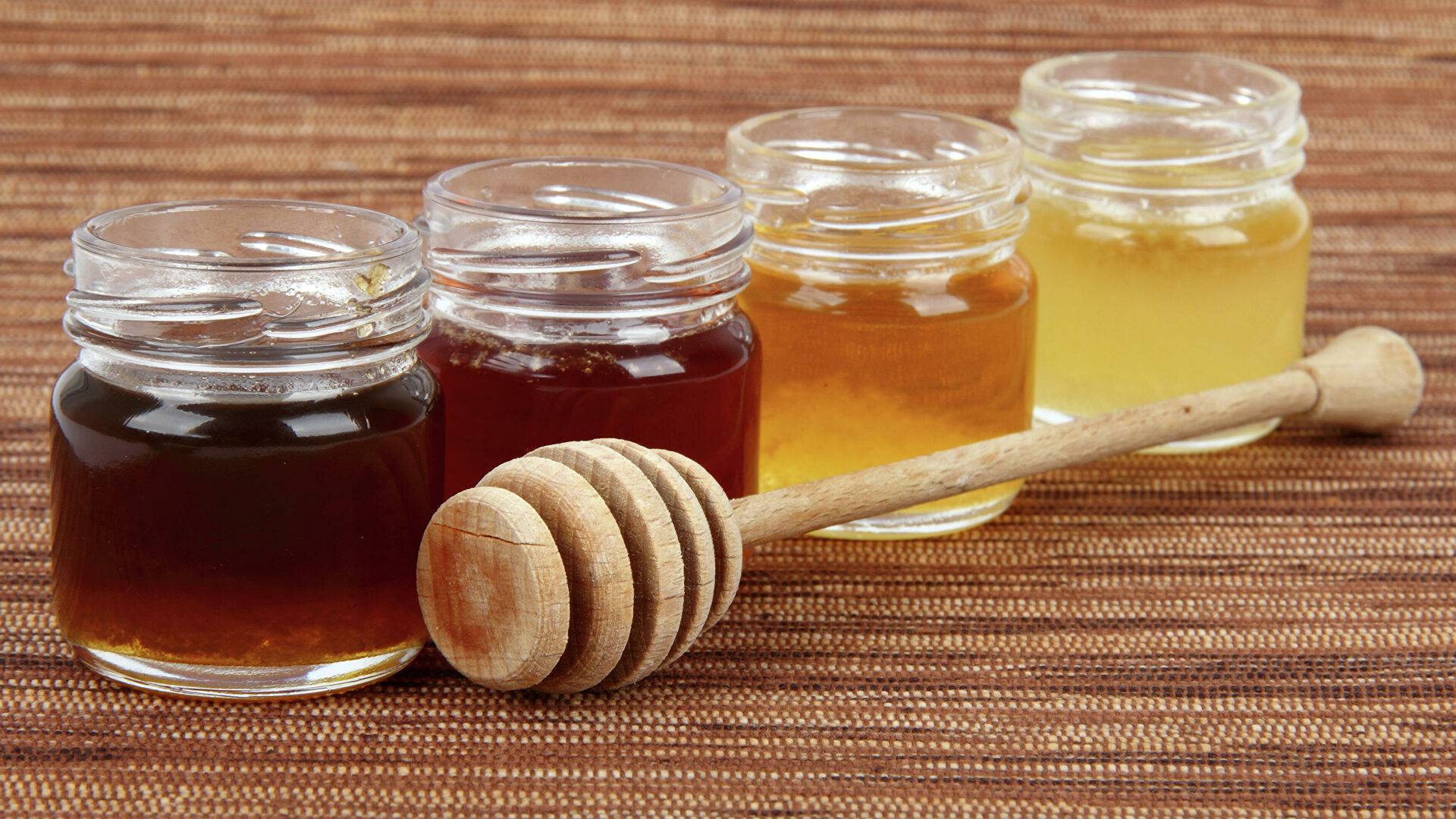 Массовая гибель пчёл: эксперты объяснили причину подорожания мёда