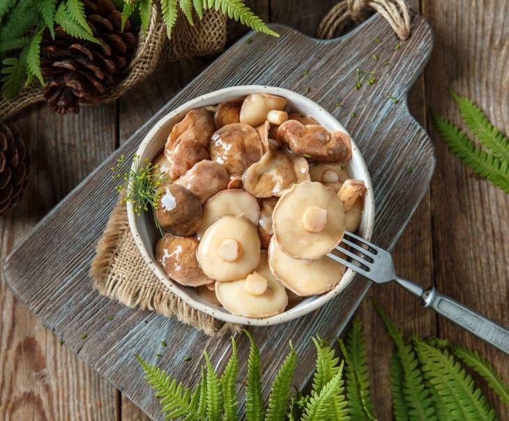 Просто и очень вкусно: кулинары поделились рецептом маринованных маслят