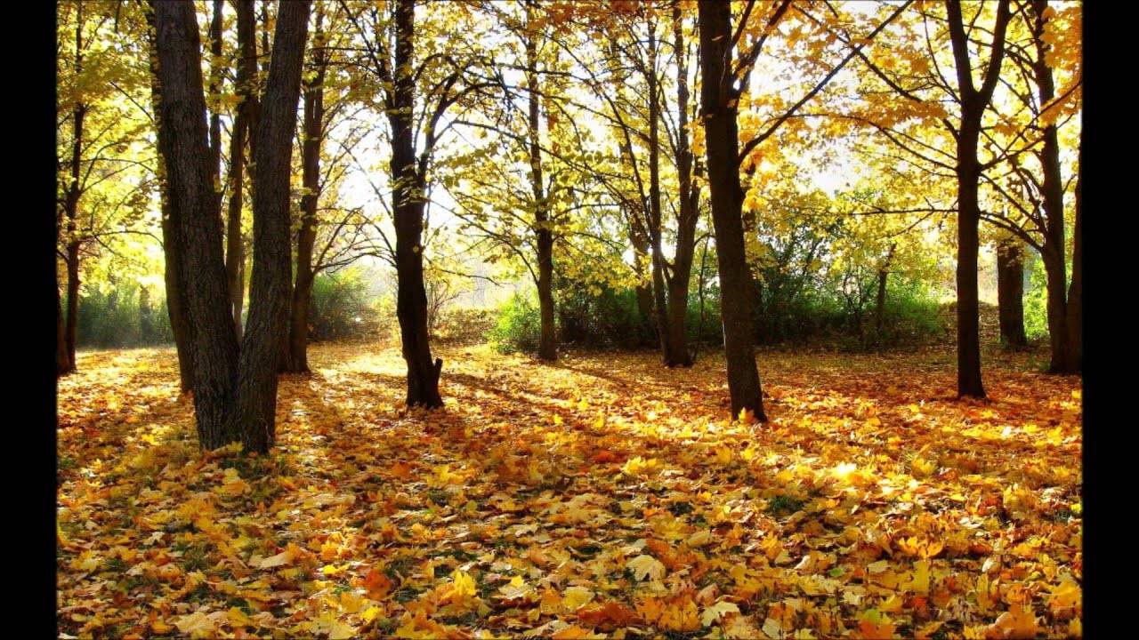 «Возвращение лета до 20 числа»: астролог рассказал о бархатном сезоне в октябре