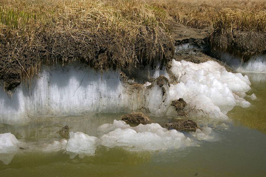 Мощные взрывы метана: учёные предупредили о ещё одном последствии глобального потепления