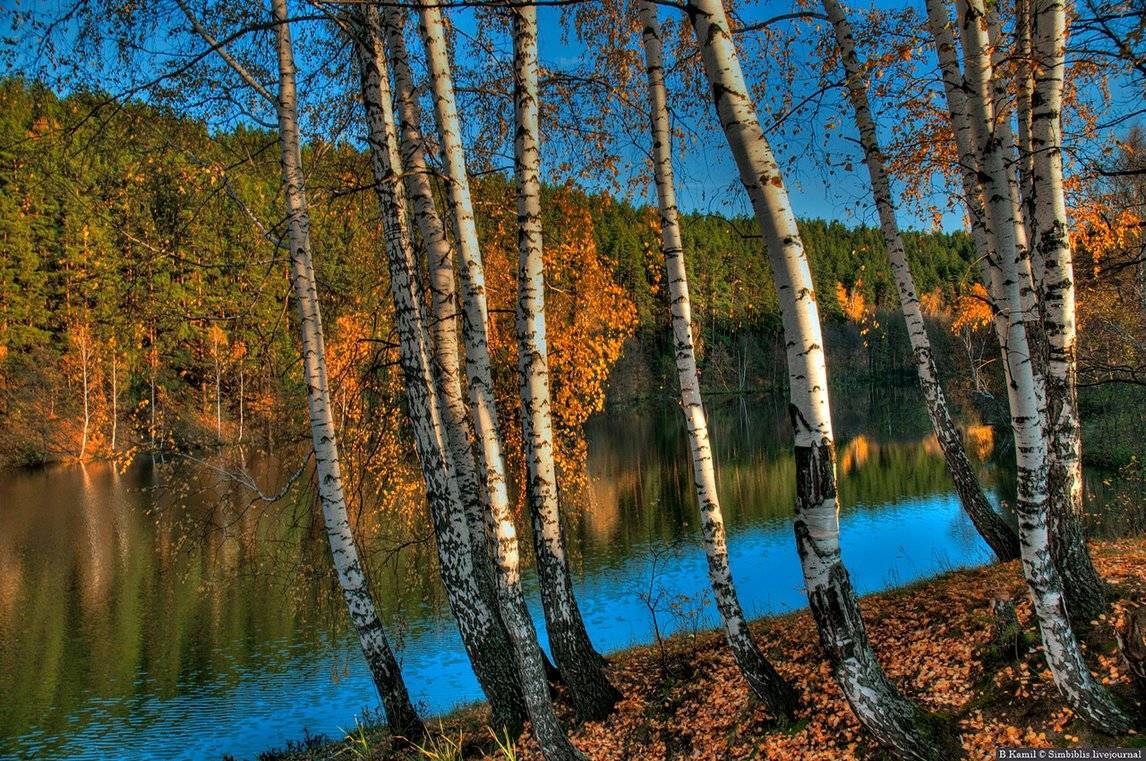 Бабье лето подходит к завершению: Гидрометцентр предупредил о существенном похолодании к выходным
