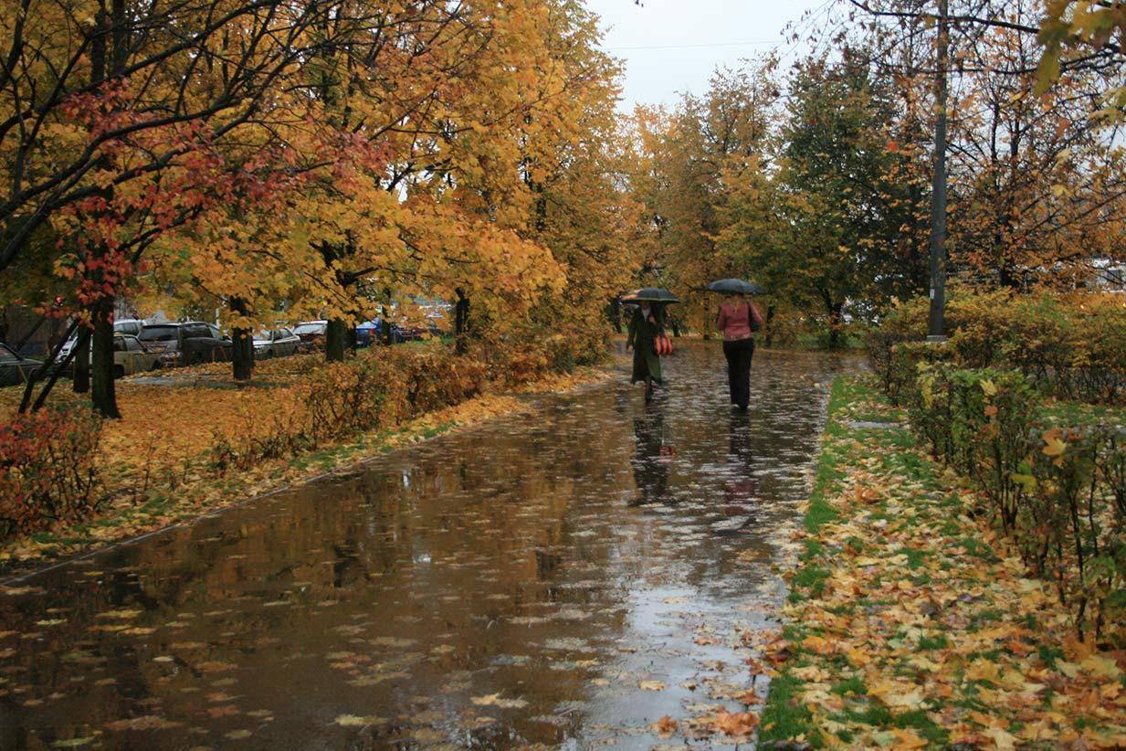 Впереди ненастье: синоптик предупредила о приходе дождей в Украину