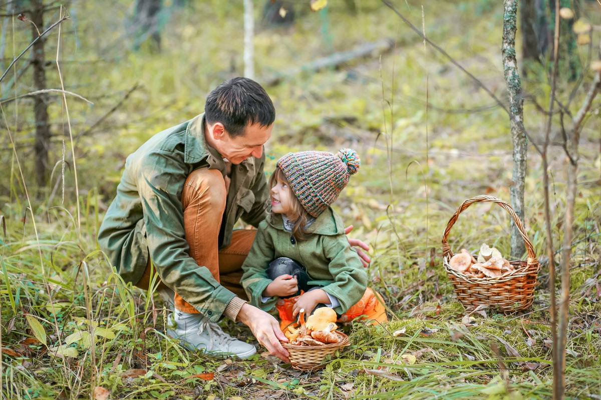 Picking mushrooms. Сбор грибов. Поход в лес за грибами. Собирать ягоды в лесу. Сбор грибов в лесу.