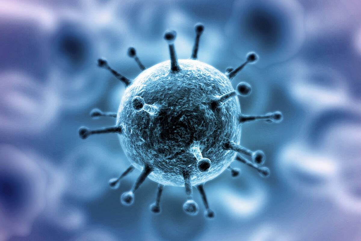 Учёным удалось определить длительность иммунитета к коронавирусу