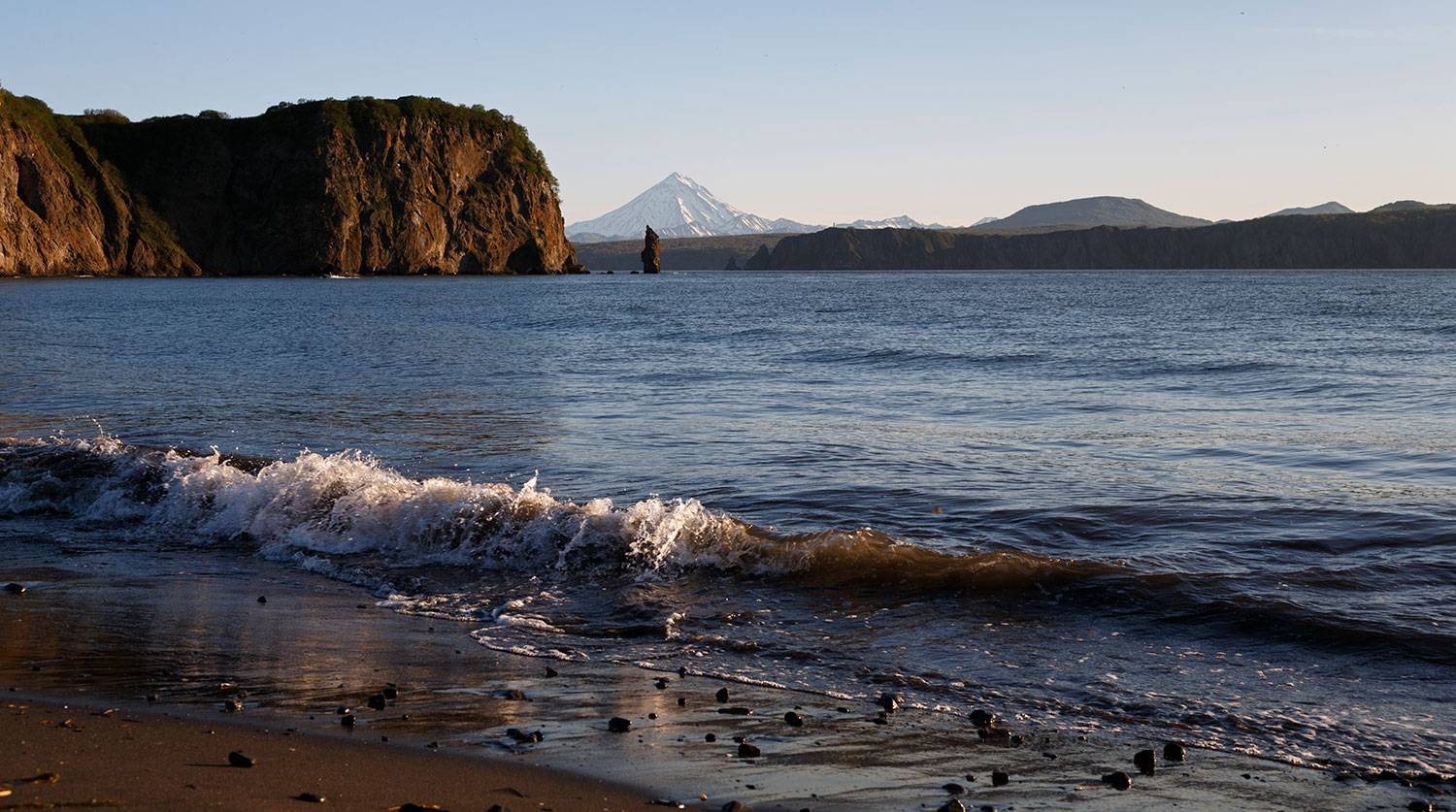 У побережья Камчатки обнаружены неизвестные науке токсины