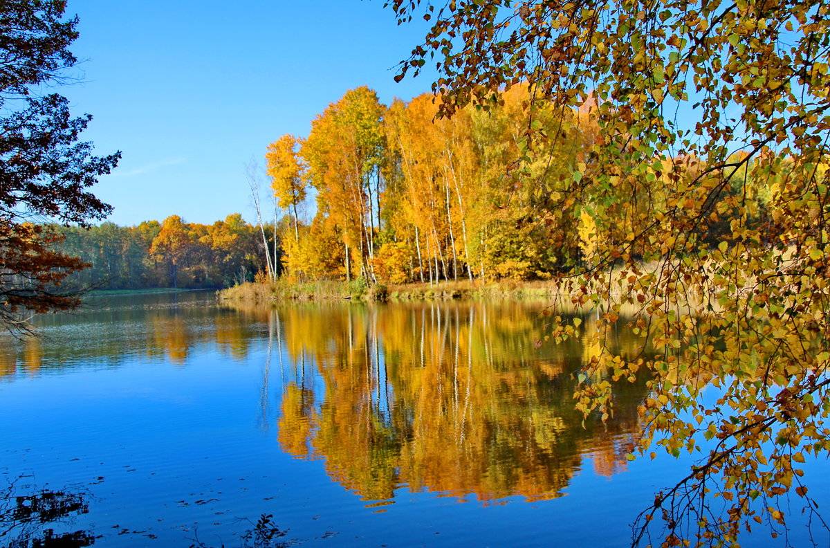 Первые два дня даже морозные: синоптики рассказали о погоде на следующей неделе
