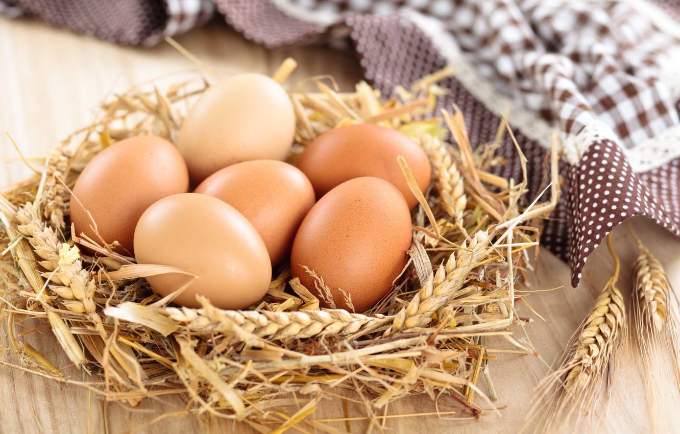 «Впервые за всё время независимости»: Азаров заявил, что Украина начала импортировать яйца из Беларуси