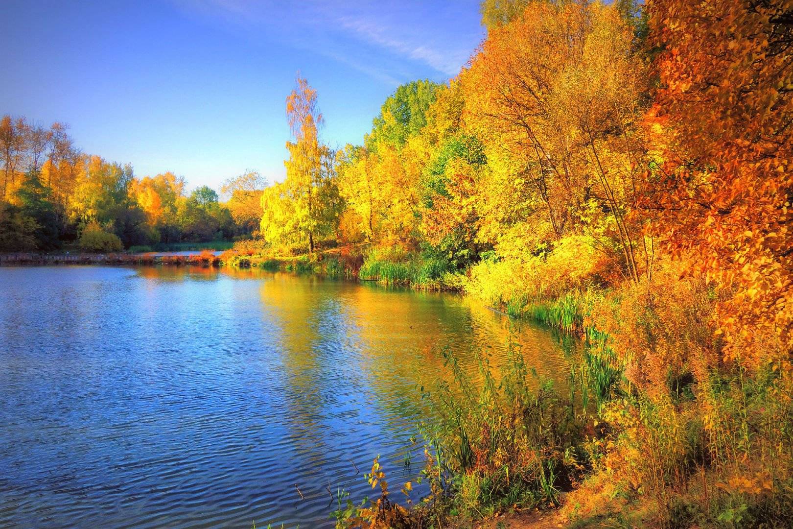 Дожди будут очень тёплыми: синоптик рассказала о погоде в первые дни ноября