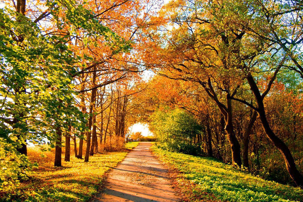 Шапки и пуховики понадобятся уже во вторник: Гидрометцентр предупредил о резком снижении температуры в ближайшие дни