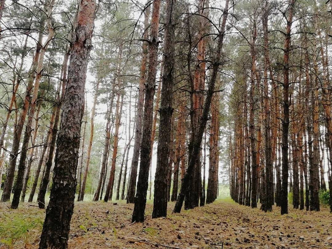 Морозы и снег на северо-востоке: синоптики предупредили об ухудшении погодных условий в понедельник