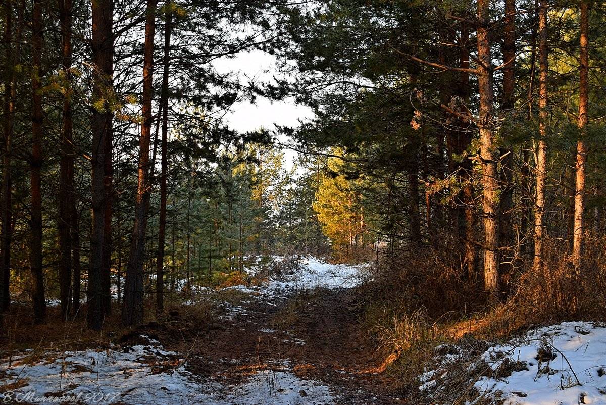 Морозы сменятся снегом и дождями: в Гидрометцентре рассказали о сложной погоде на следующей неделе