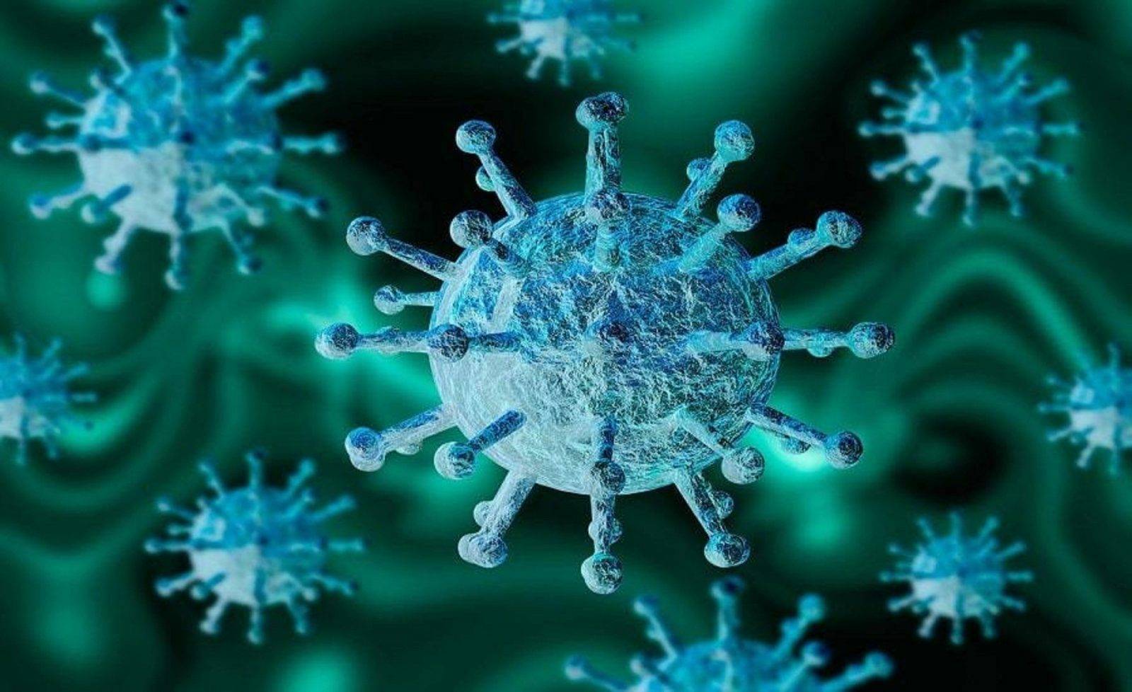 Учёные заявили об эффективном природном средстве против коронавируса