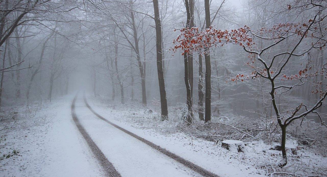 В течение всей недели: синоптики предупредили о мощных снегопадах и дождях