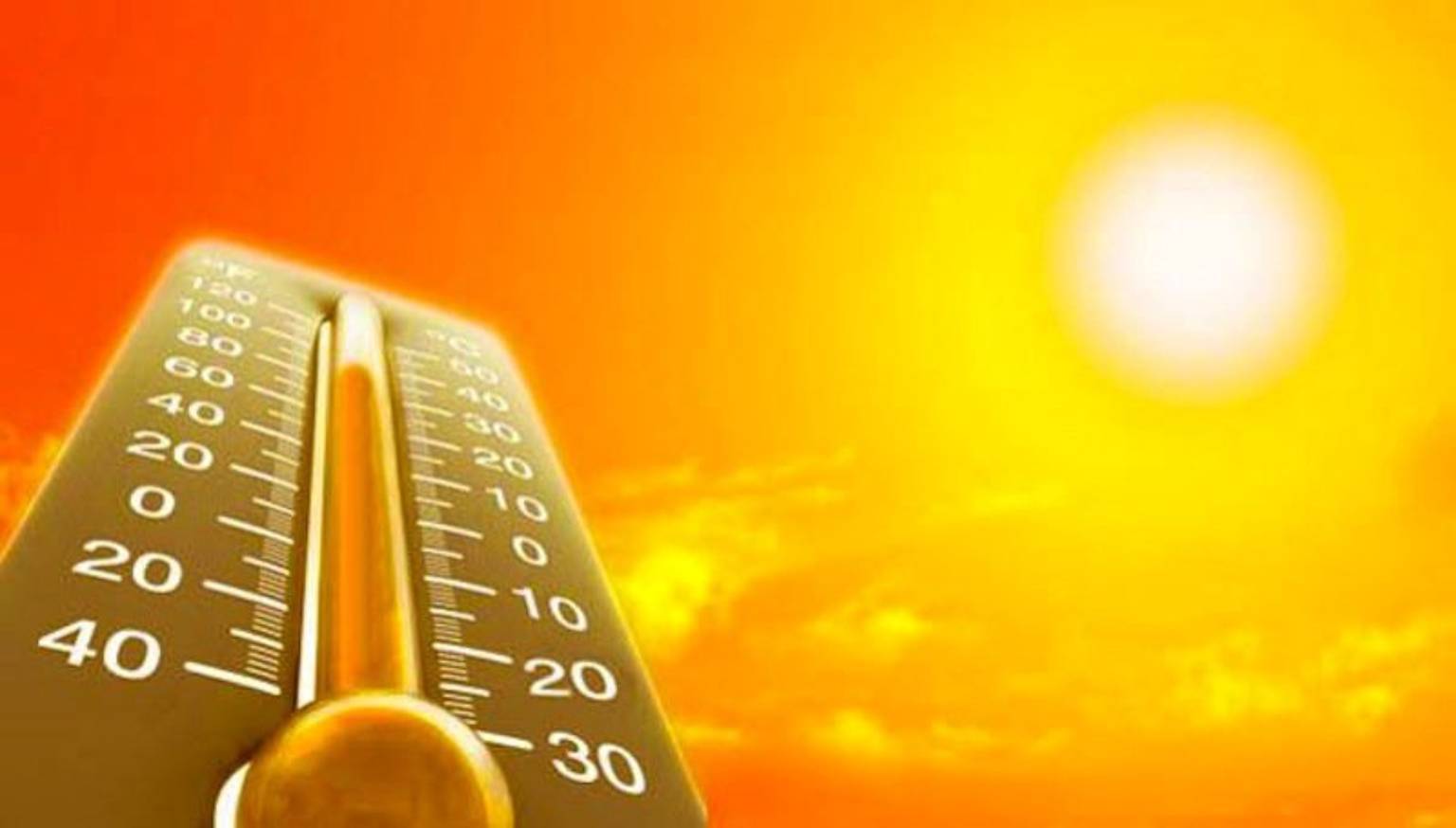 «Работать будет невозможно»: учёные предупредили об аномальной жаре в недалёком будущем