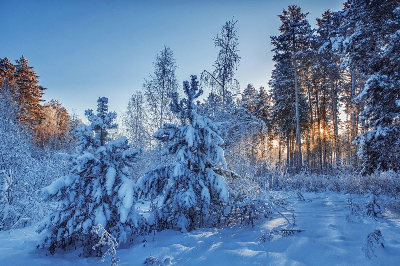 До 15 градусов и ниже: метеоролог рассказала о приходе сильных морозов в Украину