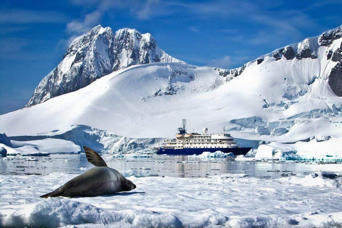Первый круизный лайнер: в Антарктиде открыли туристический сезон