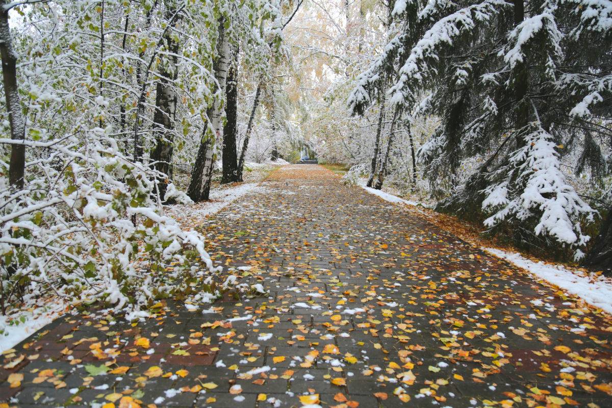 Дожди и снег уже близко: синоптики рассказали о погоде 4 и 5 декабря