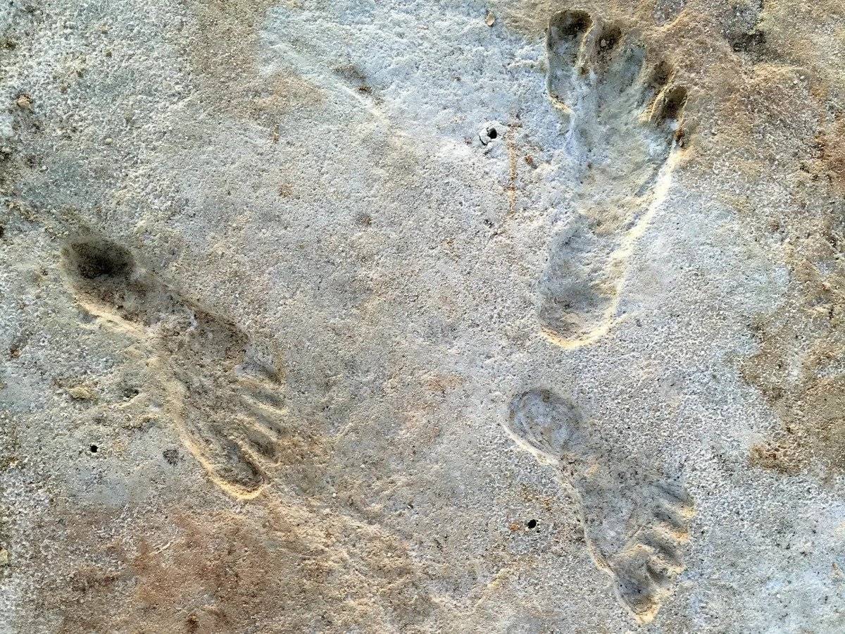 Возраст почти 4 миллиона лет: учёные обнаружили следы самого древнего человека