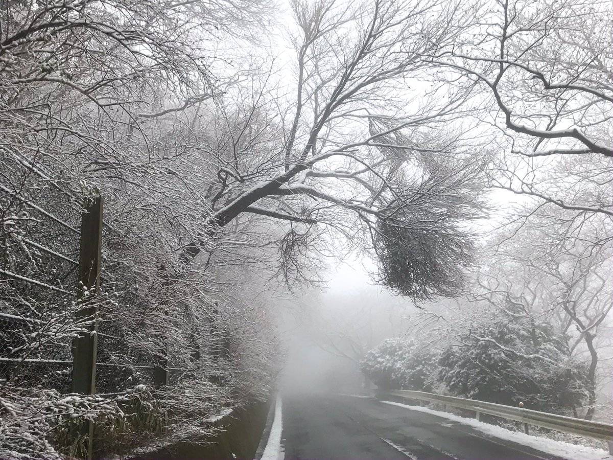 Совершенно не характерно для зимы: синоптик рассказал о погоде в преддверии Нового года