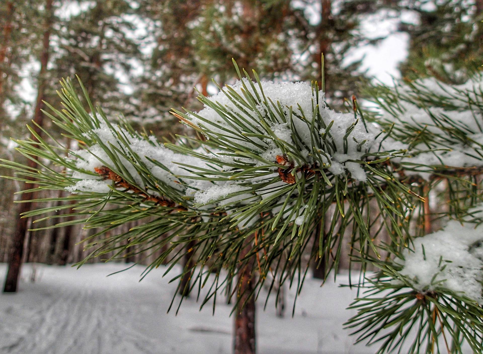 Осадки на любой вкус и постепенное похолодание: синоптики рассказали о погоде в выходные