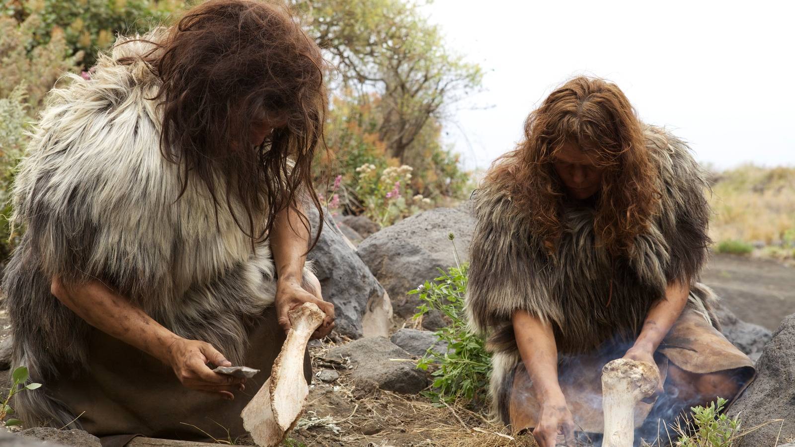 Учёные: «Неандертальцы уничтожали леса Европы, чтобы охотиться»