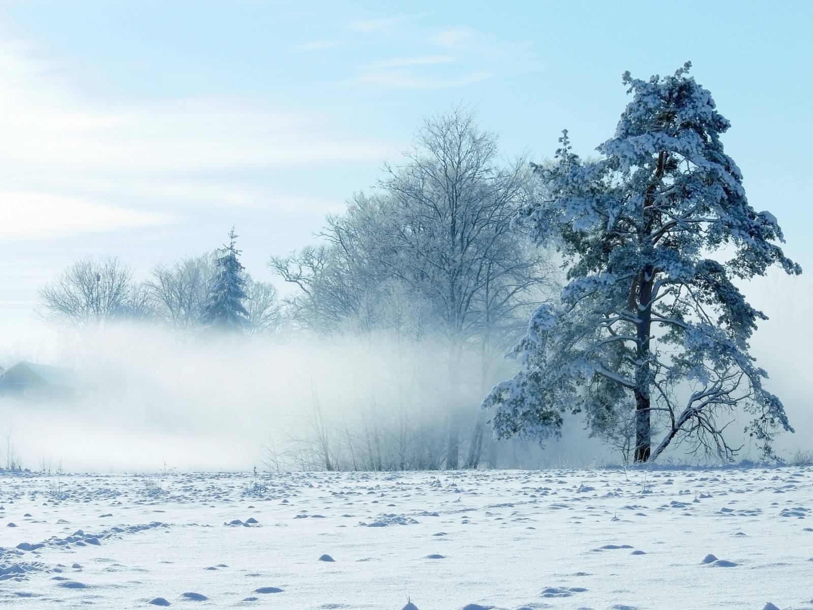 Сильные морозы до -15: синоптики предупредили о рекордном похолодании 21 декабря