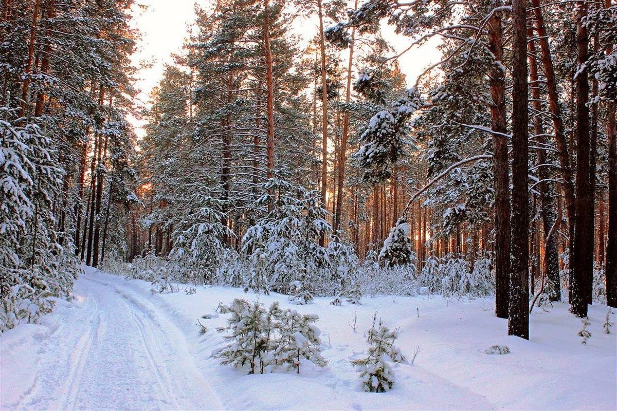 Колебания температуры до 25°: синоптики рассказали о погоде до конца недели