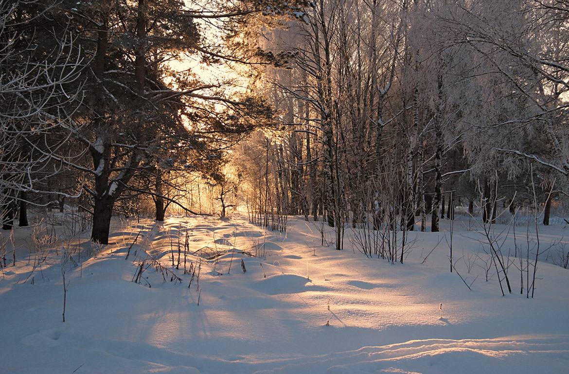 25 декабря в Украину ворвётся потепление: синоптики рассказали о погоде до конца недели