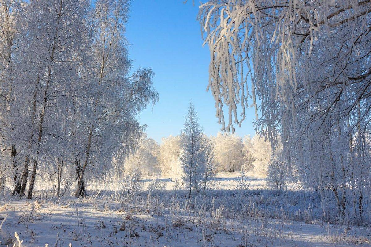 К выходным ворвётся оттепель: синоптики рассказали о потеплении в ближайшие дни