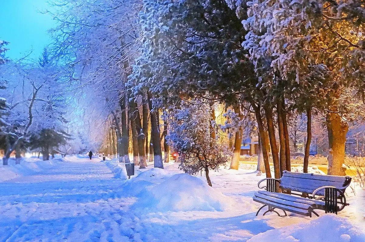 В среду морозы до -16 градусов: прогноз погоды в Киеве на следующую неделю