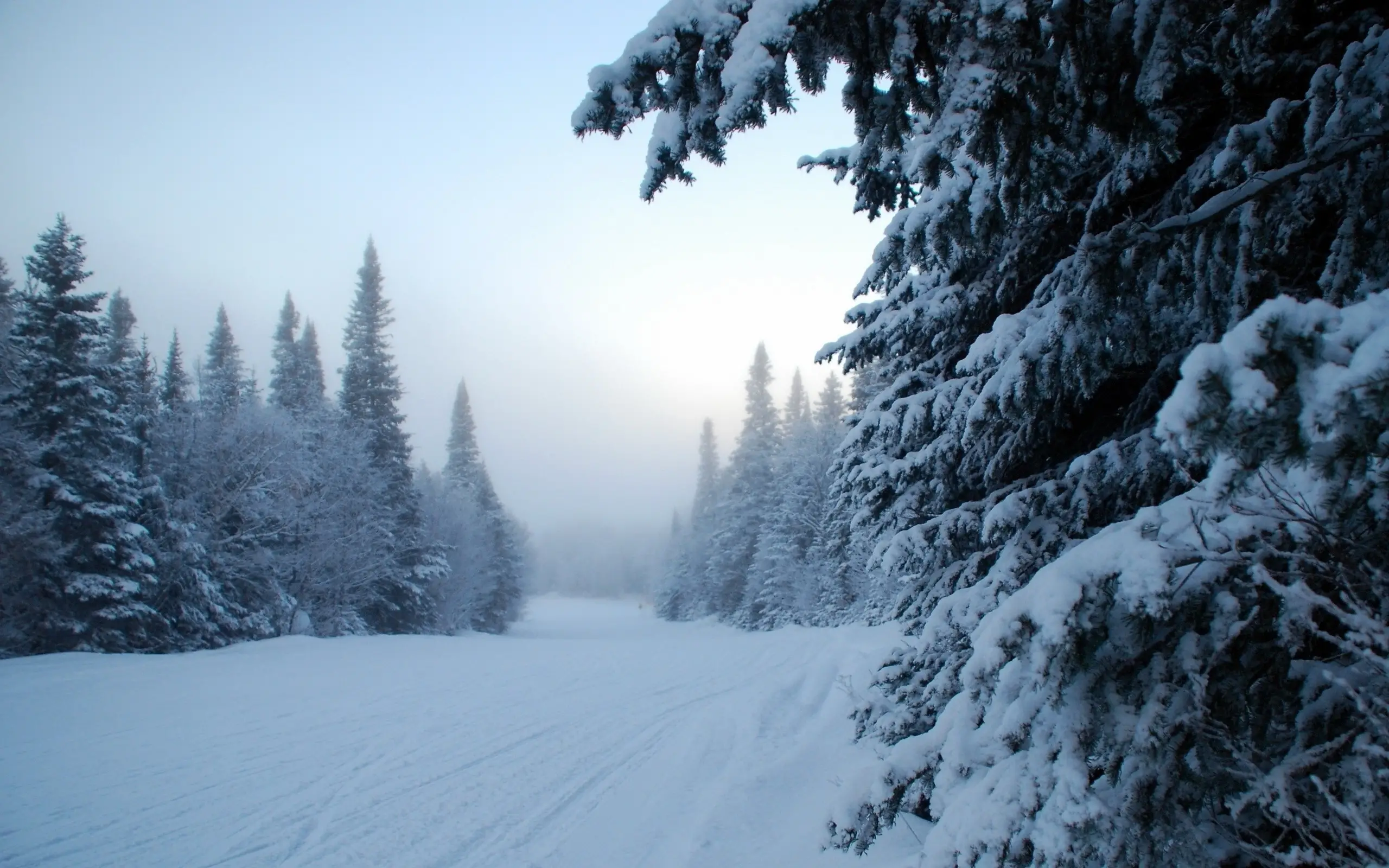 Серьёзные изменения: синоптики рассказали о морозах и снегопадах в выходные