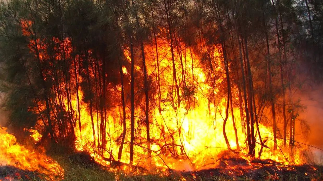Учёные связали уменьшения морского льда в Арктике с многочисленными пожарами в США