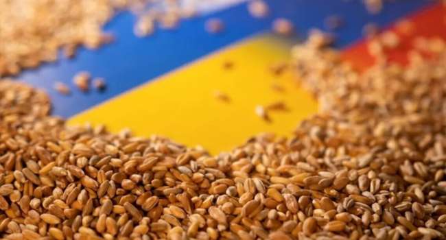 Первая партия зерна из Украины уже в Ирландии