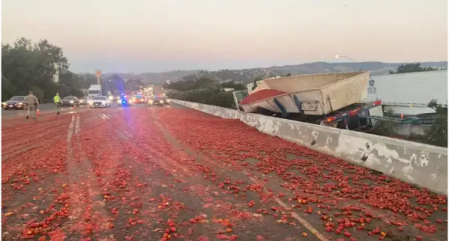 «Томатное шоссе» в Калифорнии спровоцировало массовую аварию на дороге
